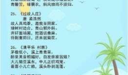 吃瓜爆料音乐歌单大全,歌单大全带你领略热门歌曲风采